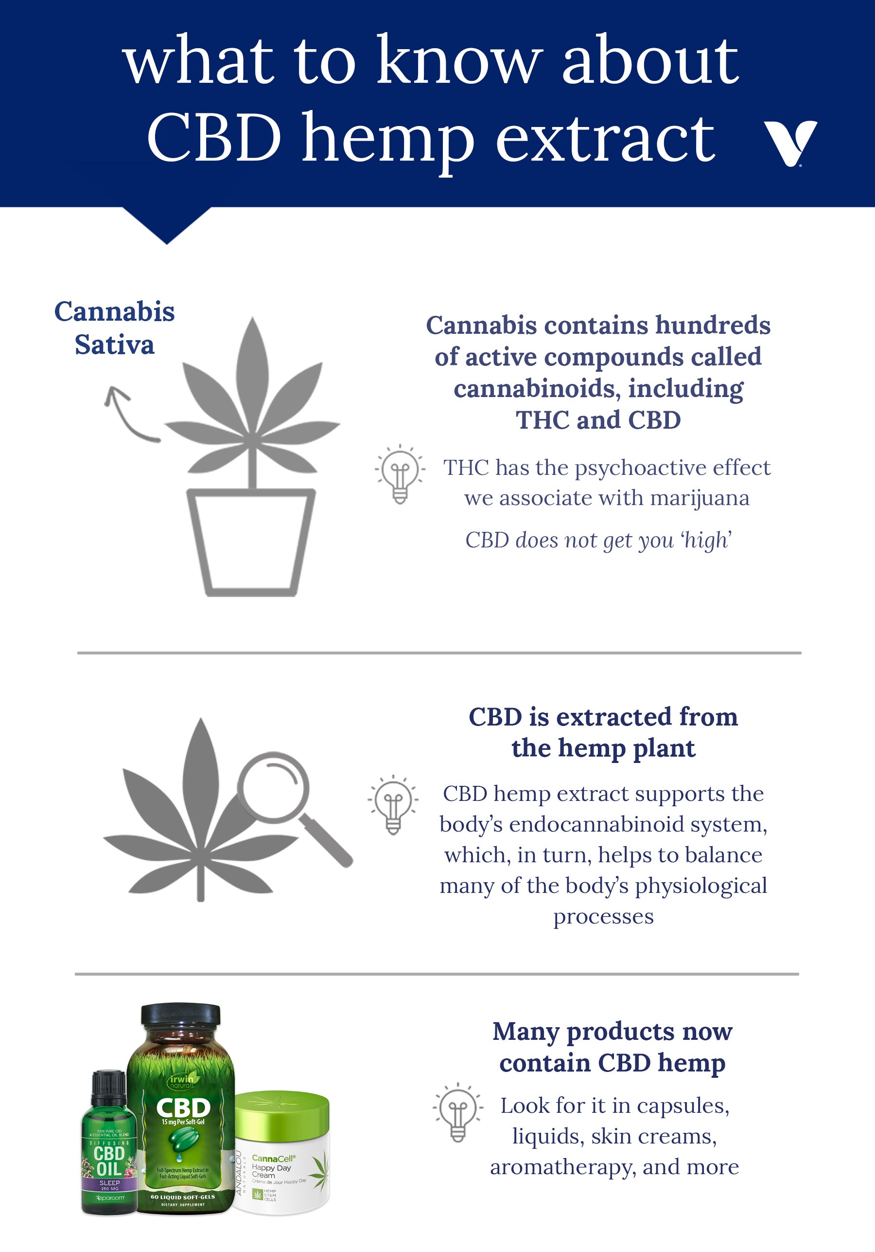 What To Know About CBD Hemp Extract infographic