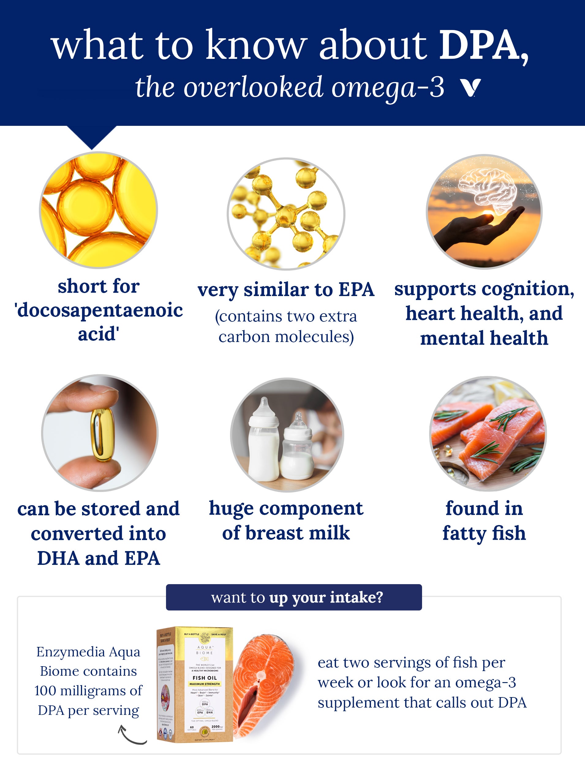 What To Know About DPA Infographic