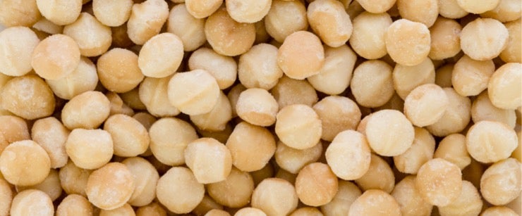 macadamia nuts