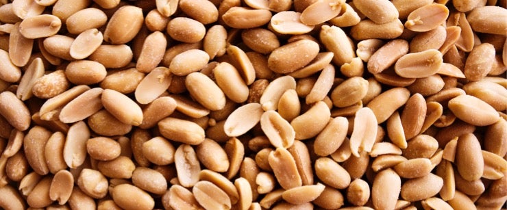peanuts