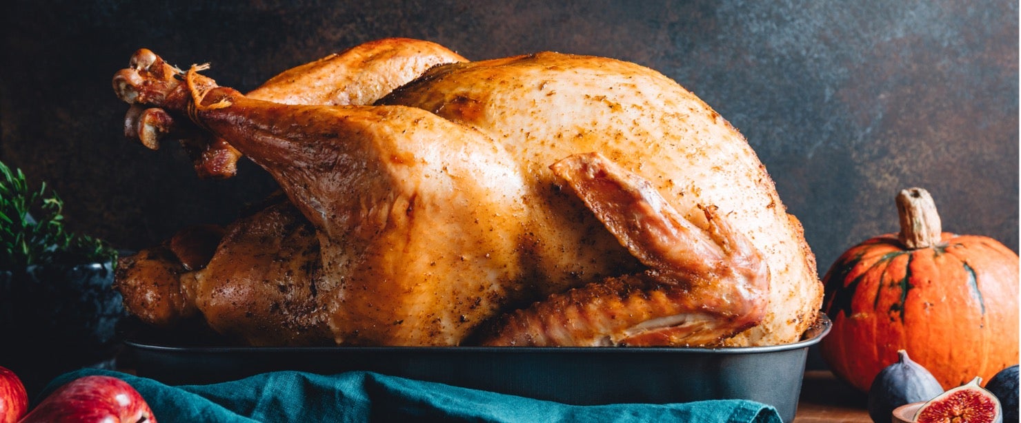 thanksgiving turkey