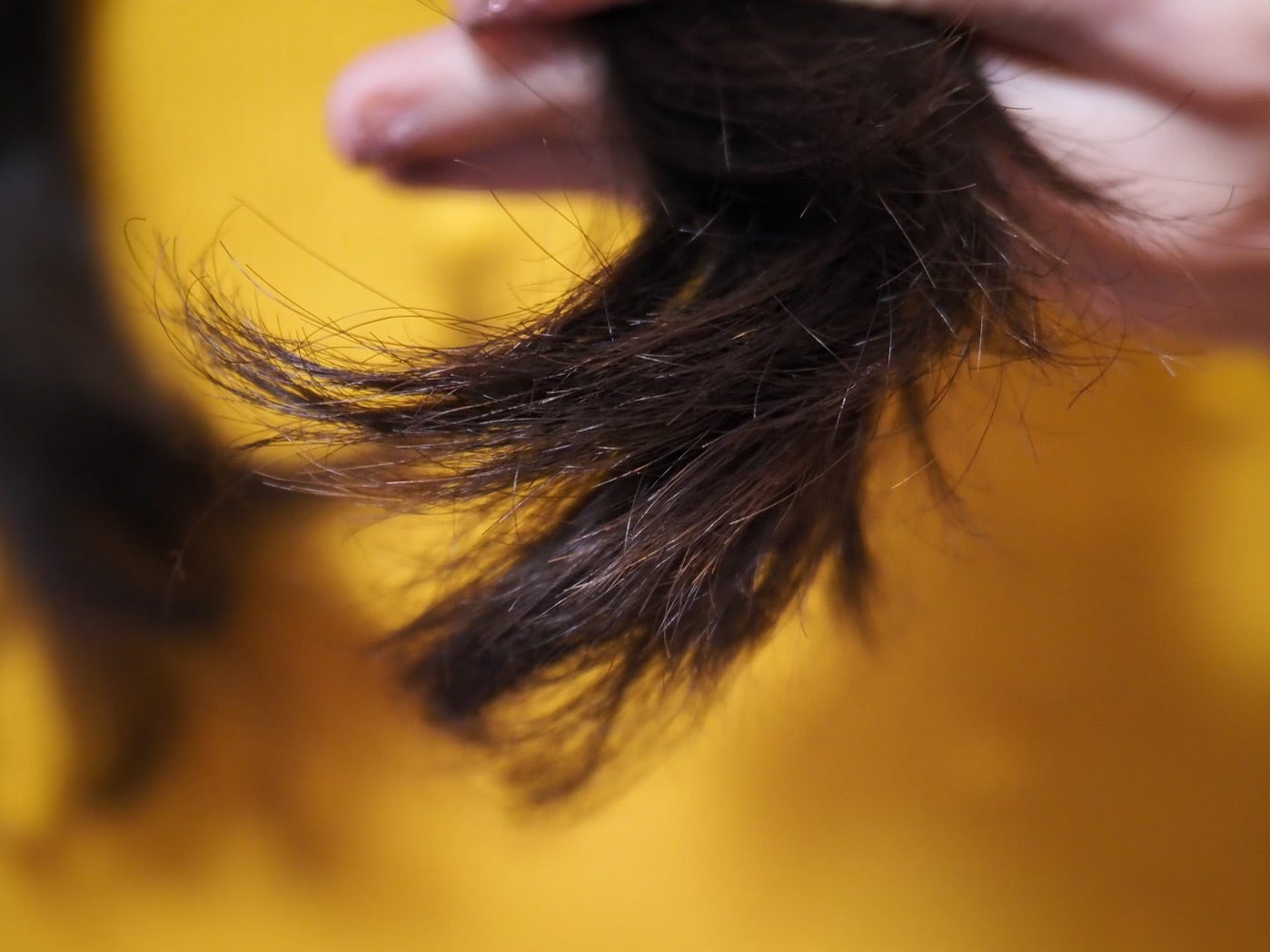 Hair Closeup