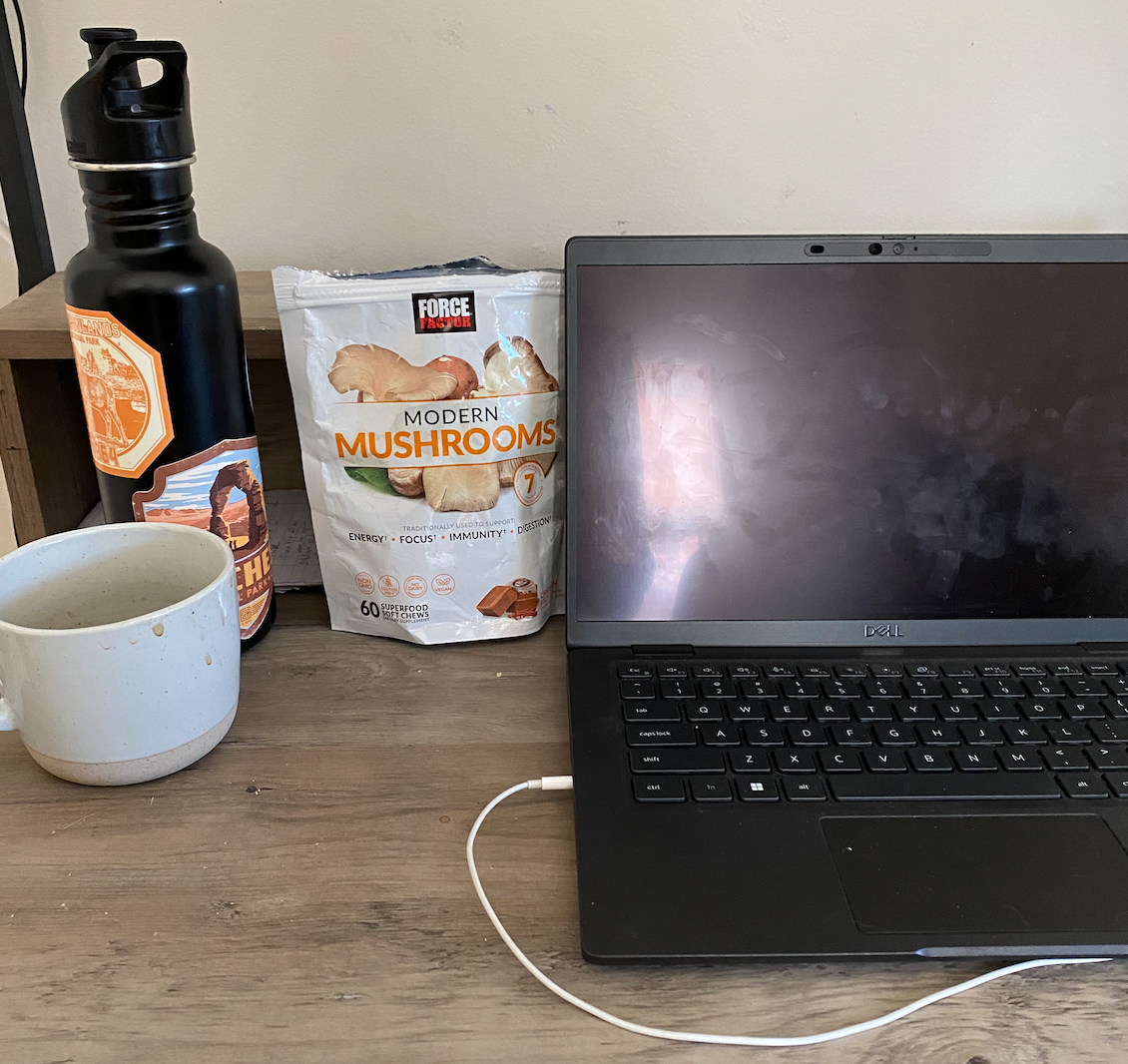 work desk with Force Factor Modern Mushroom chews