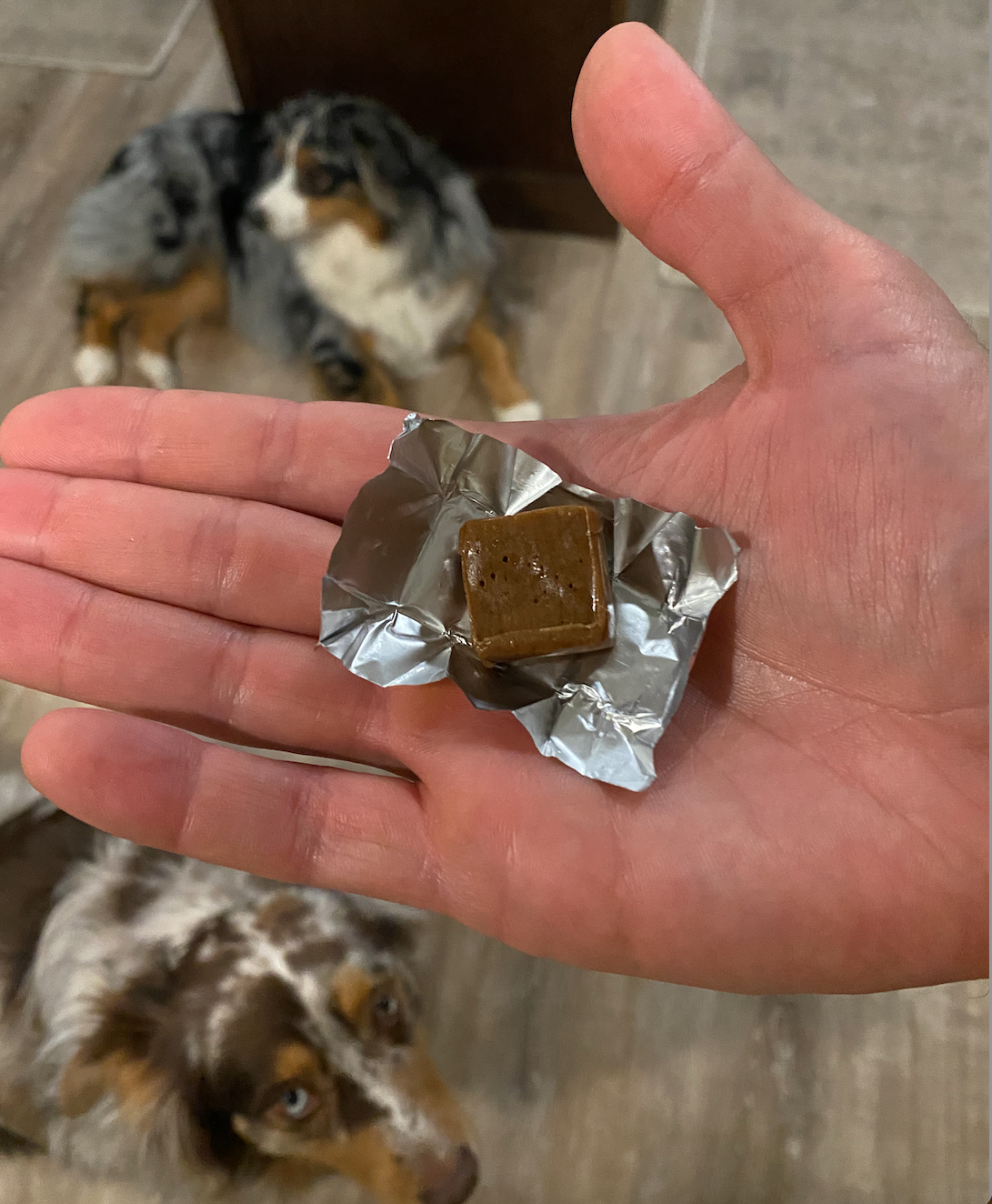 hand holding mushroom chew