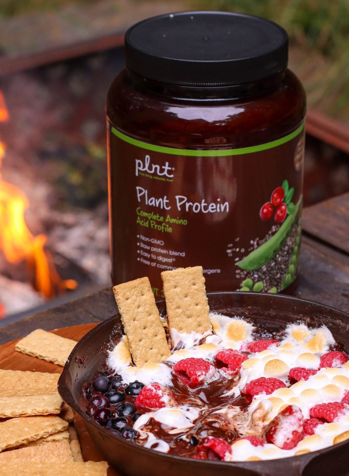 Memorial Day cookout recipes: s'mores dip